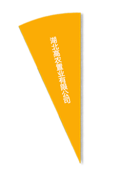 67381顶级娱乐(中国区)-游戏官方网站