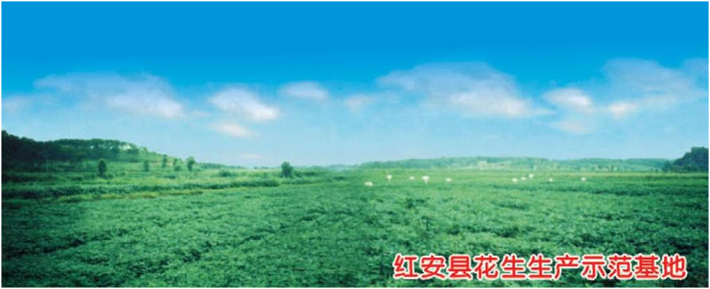 67381顶级娱乐(中国区)-游戏官方网站