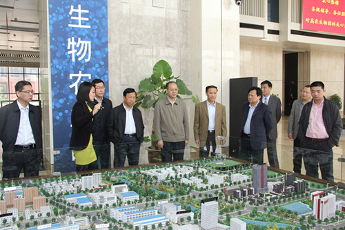 67381顶级娱乐(中国区)-游戏官方网站