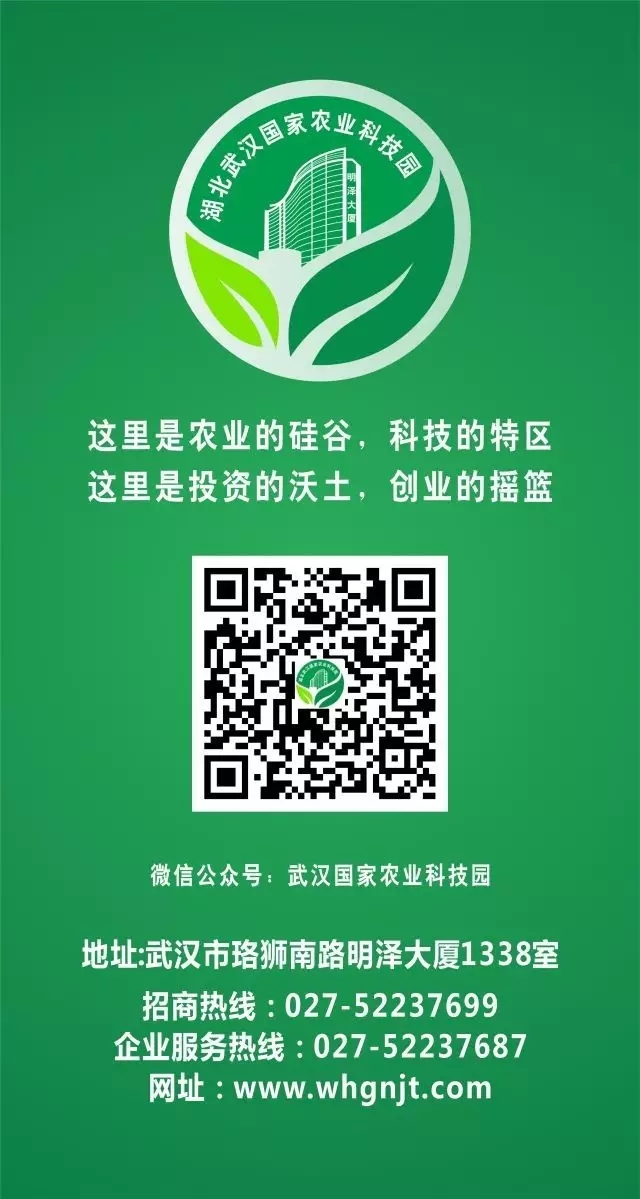 67381顶级娱乐(中国区)-游戏官方网站