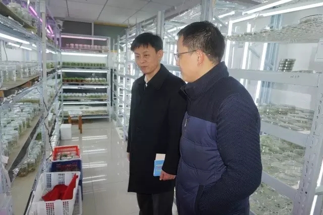 67381顶级娱乐(中国区)-游戏官方网站
