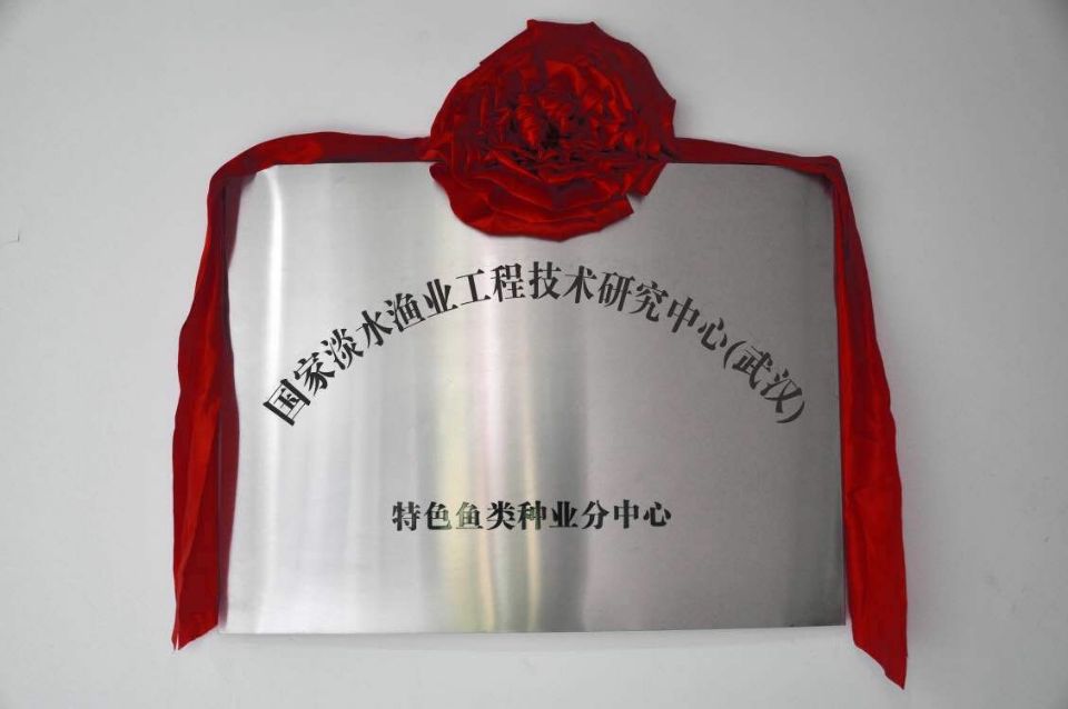 67381顶级娱乐(中国区)-游戏官方网站
