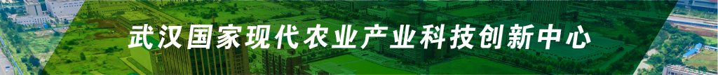 67381顶级娱乐(中国区)-游戏官方网站