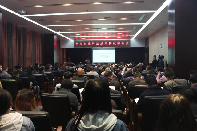 67381顶级娱乐(中国区)-游戏官方网站